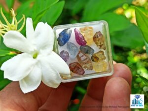 Ceylon Natural Sapphire Glass Body Crystals Lot - city of gem Ratnapura