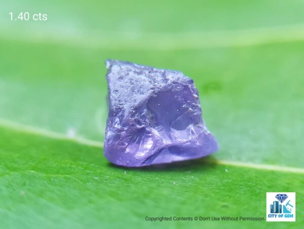 Ceylon Natural Sapphire Rough Gemstones Lot - city of Gem Ratnapura