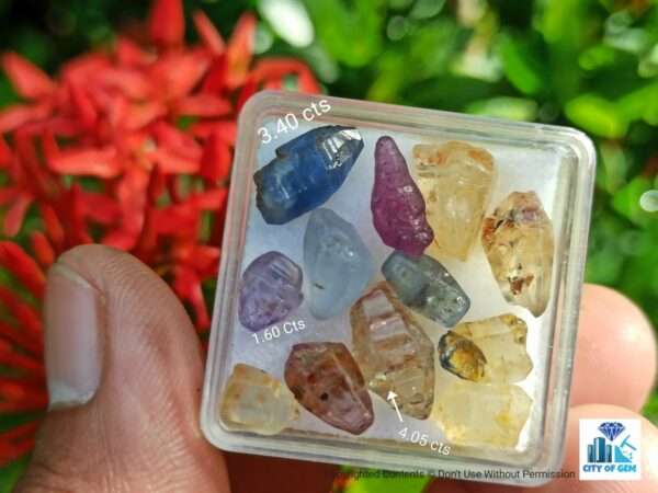 Ceylon Natural Sapphire Glass Body Crystals Lot - city of gem Ratnapura