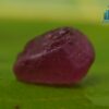 Natural Blue Sapphire with Ruby - City Of Gem Ratnapura