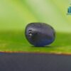 Natural Blue Sapphire with Ruby - City Of Gem Ratnapura