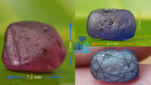 Natural Blue Sapphire with Ruby - City Of Gem Ratnapura