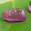 Ceylon Natural Bi-Color Sapphire, Dark Blue Sapphire and Pink Sapphire