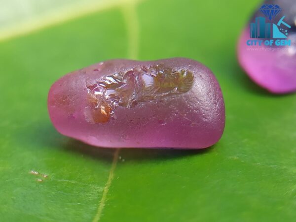 Ceylon Natural Bi-Color Sapphire, Dark Blue Sapphire and Pink Sapphire
