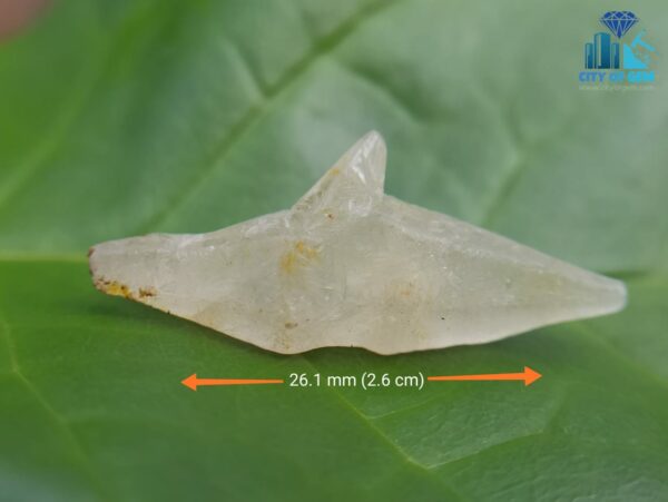 Ceylon Natural Sapphire Twin Crystal with naturally formed body carvings - City Of Gem Ratnapura