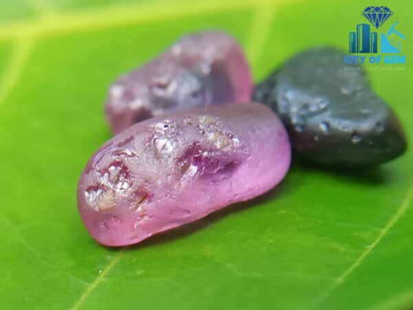 Ceylon Natural Bi-Color Sapphire, Dark Blue Sapphire and Pink Sapphire