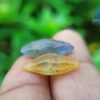 Ceylon Natural Yellow Sapphire and Blue Sapphire Crystal Couple - City Of Gem Ratnapura