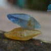 Ceylon Natural Yellow Sapphire and Blue Sapphire Crystal Couple - City Of Gem Ratnapura