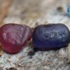 Natural Blue Sapphire with Ruby - City Of Gem Ratnapura