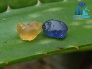 Ceylon Natural Royal Blue Sapphire and Yellow Sapphire Raw Gemstones Couple