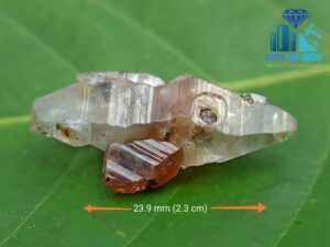 Ceylon Natural Terminated Glass Body Sapphire Twin Crystal