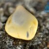 Ceylon Natural Yellow Sapphire Rough Gemstones Lot - city of gem Ratnapura