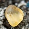 Ceylon Natural Yellow Sapphire Rough Gemstones Lot - city of gem Ratnapura