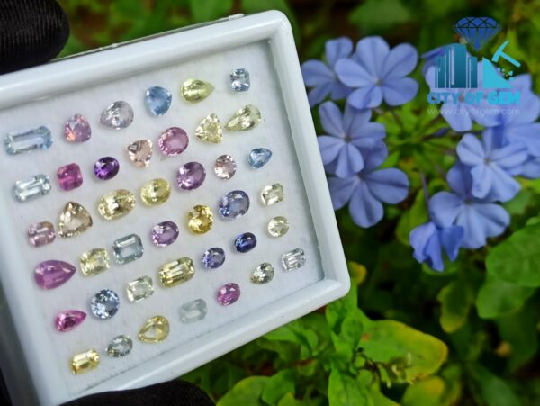 Fine Quality Ceylon Natural Sapphire Wholesale Faceted Gemstones Lot - city of gem Ratnapura