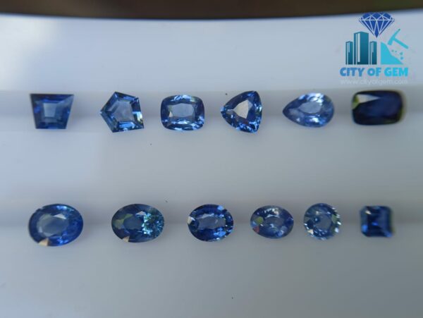 Ceylon Blue Sapphire Collection (H) - Mix Shapes - city of gem Ratnapura