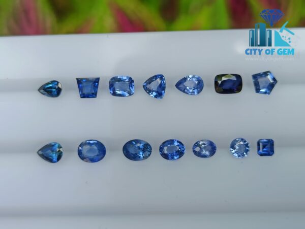 Ceylon Blue Sapphire Collection (H) - Mix Shapes - city of gem Ratnapura