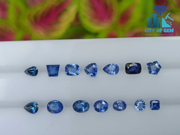 Ceylon Blue Sapphire Collection (H) - Mix Shapes - city of gem Ratnapura