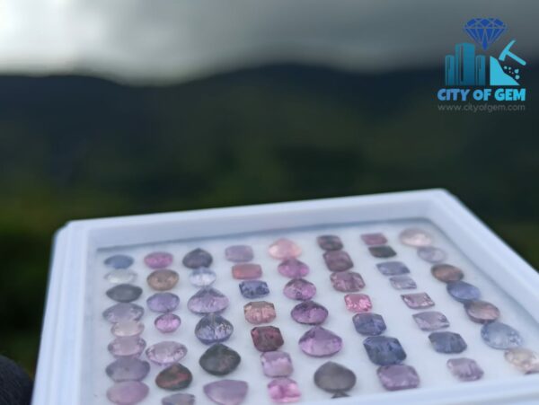 Fine Quality Ceylon Natural Sapphire Wholesale Faceted Gemstones Lot - Unheated - citi of gem Ratnapura