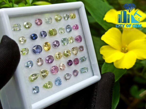 Fine Quality Ceylon Natural Sapphire Wholesale Faceted Gemstones Lot - city of gem Ratnapura