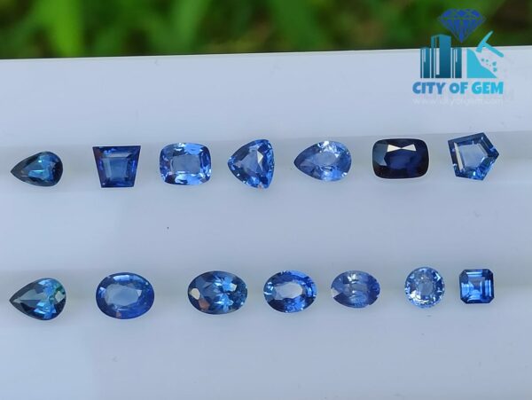Ceylon Blue Sapphire Collection (H) - Mix Shapes - city of gem Ratnapura