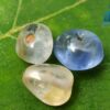 Ancient Natural Sapphire Necklace Beads from Sri Lanka mukkaru stones- City of Gem Ratnapura