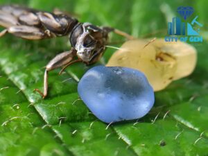 Ceylon Natural Blue Sapphire & Yellow Sapphire High Quality Rough Alluvial Gemstone Couple   