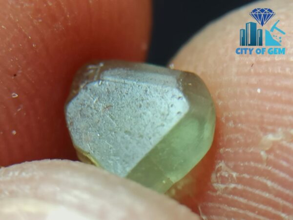 Rare Natural Chrysoberyl Alexandrite Petal Crystal from Sri Lanka - City of gem Ratnapura