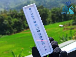 Fine Quality Ceylon Blue Sapphire Wholesale Faceted Gemstones Lot - City of gem Ratnapura