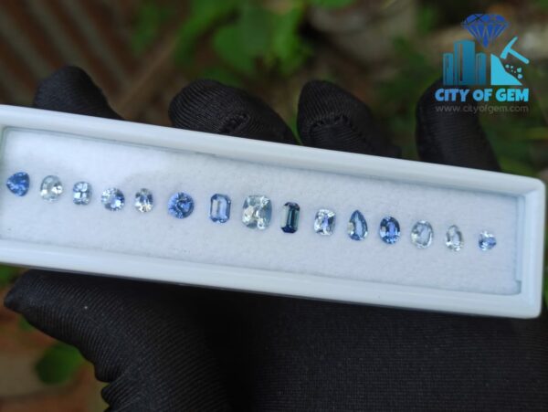 Fine Quality Ceylon Blue Sapphire Wholesale Faceted Gemstones Lot - City of gem Ratnapura
