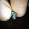 Ceylon Natural Alexandrite Cats Eye with small alexandrite couple (all facet grade) - city of gem Ratnapura