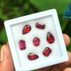 Natural Pink & Red Garnet Faceted Gemstones Collection with Purplish Rhodolites - City of gem Ratnapura