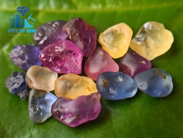 Ceylon Natural Facet Grade Rough Sapphire Collection with Colour shifting sapphire - city of gem ratnapura