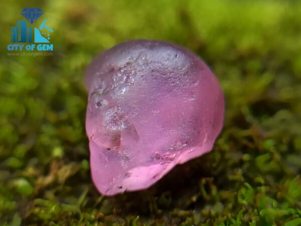 Ceylon Natural Facet Grade Rough Sapphire Collection with Colour shifting sapphire - city of gem ratnapura