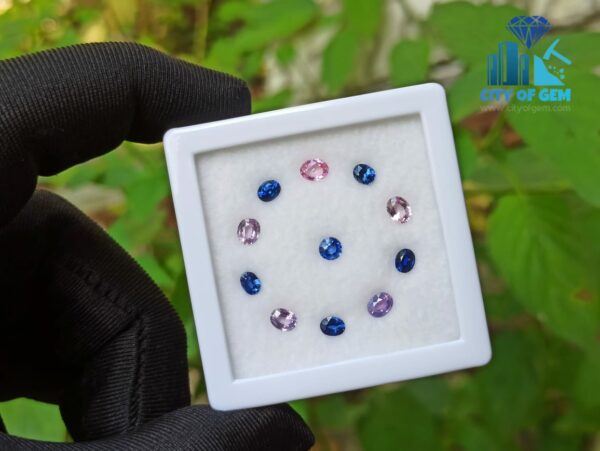Ceylon Natural Royal Blue Sapphire and Pink to Purple Range Faceted Sapphire Collection - city of gem ratnapura