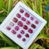 SRI LANKAN ELAHERA GARNET FACETED OCTAGON COLLECTION -City of gem ratnapura