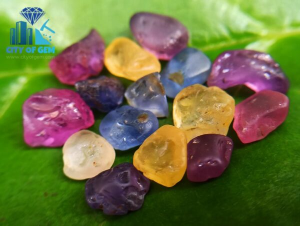 Ceylon Natural Facet Grade Rough Sapphire Collection with Colour shifting sapphire - city of gem ratnapura