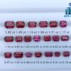 SRI LANKAN ELAHERA GARNET FACETED OCTAGON COLLECTION -City of gem ratnapura
