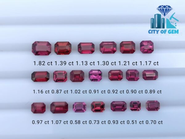 SRI LANKAN ELAHERA GARNET FACETED OCTAGON COLLECTION -City of gem ratnapura