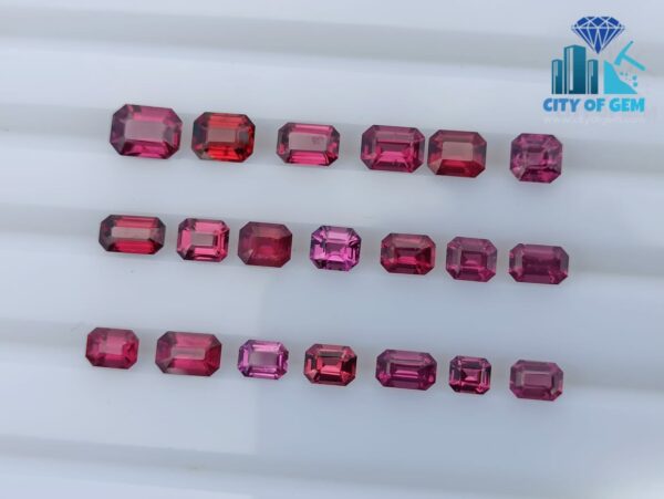 SRI LANKAN ELAHERA GARNET FACETED OCTAGON COLLECTION -City of gem ratnapura