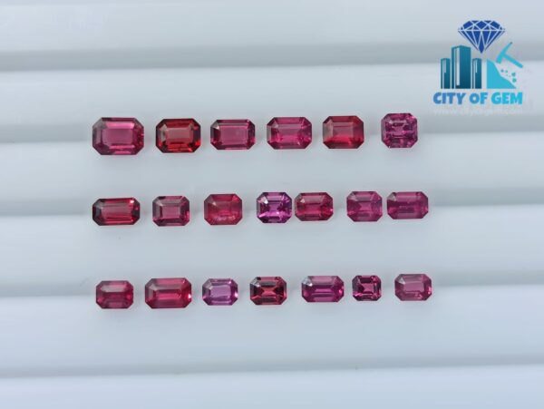 SRI LANKAN ELAHERA GARNET FACETED OCTAGON COLLECTION -City of gem ratnapura