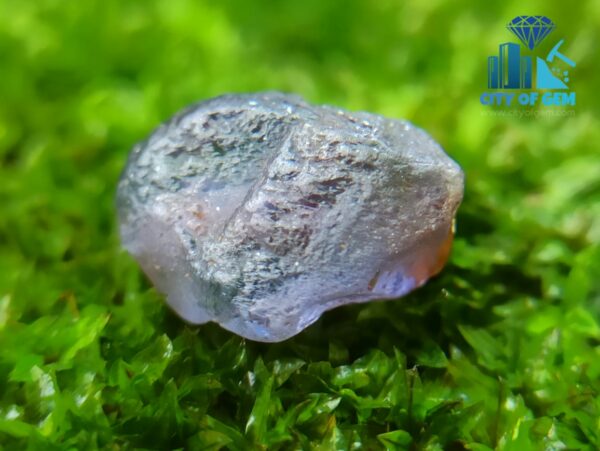 Facet Grade Rough Ceylon Natural Sapphire Collection - city of gem ratnapura