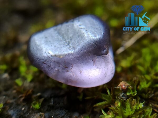 CEYLON NATURAL UNHEATED SAPPHIRES FACET GRADE MIX COLOR ROUGH COLLECTION - city of gem ratnapura