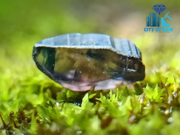 Facet Grade Rough Ceylon Natural Sapphire Collection - city of gem ratnapura