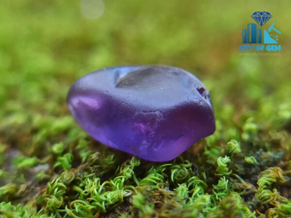 Ceylon Natural Rough Sapphire Mix Color Collection from City of Gem - city of gem ratnapura