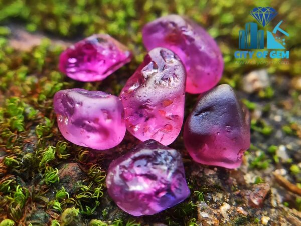 Ceylon Natural Rough Sapphire Mix Color Collection from City of Gem - city of gem ratnapura