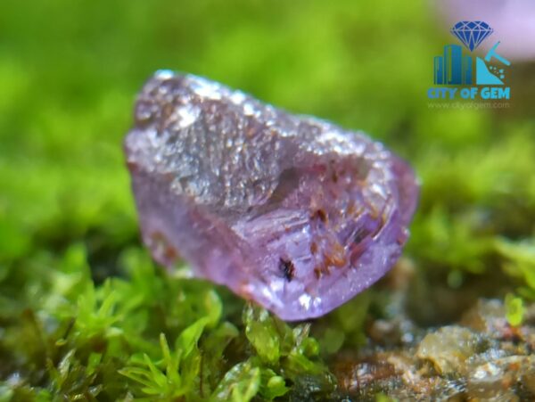 Facet Grade Rough Ceylon Natural Sapphire Collection - city of gem ratnapura