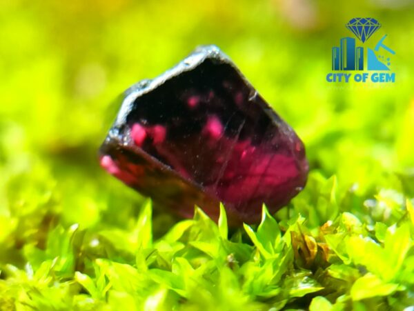 Facet Grade Rough Ceylon Natural Sapphire Collection - city of gem ratnapura