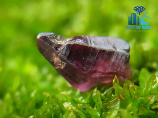 Facet Grade Rough Ceylon Natural Sapphire Collection - city of gem ratnapura