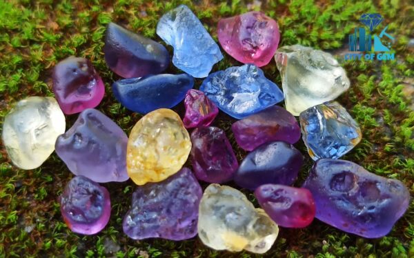 Ceylon Natural Rough Sapphire Mix Color Collection from City of Gem - city of gem ratnapura