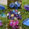 Ceylon Natural Rough Sapphire Mix Color Collection from City of Gem - city of gem ratnapura